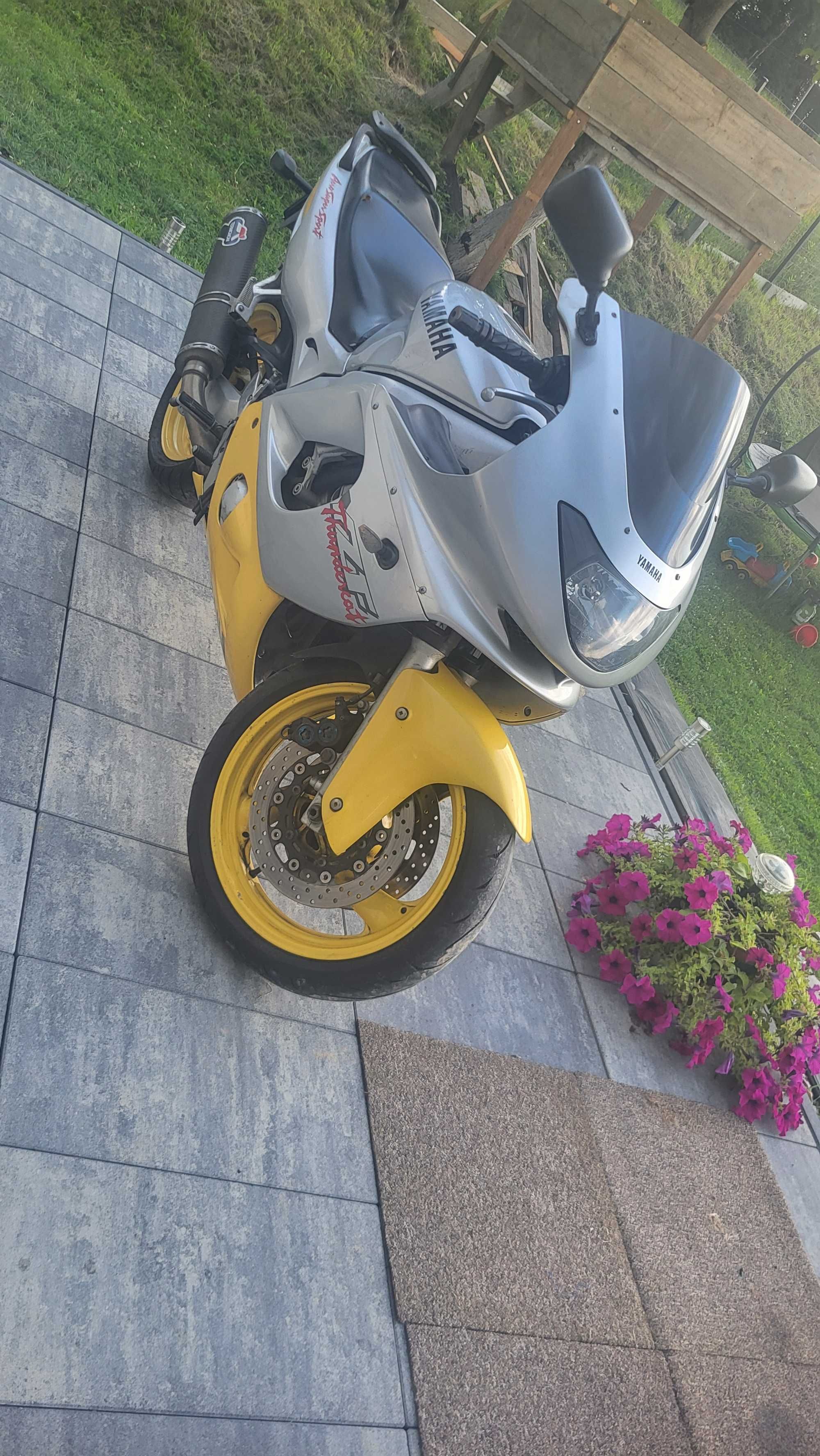 Yamaha thundercat