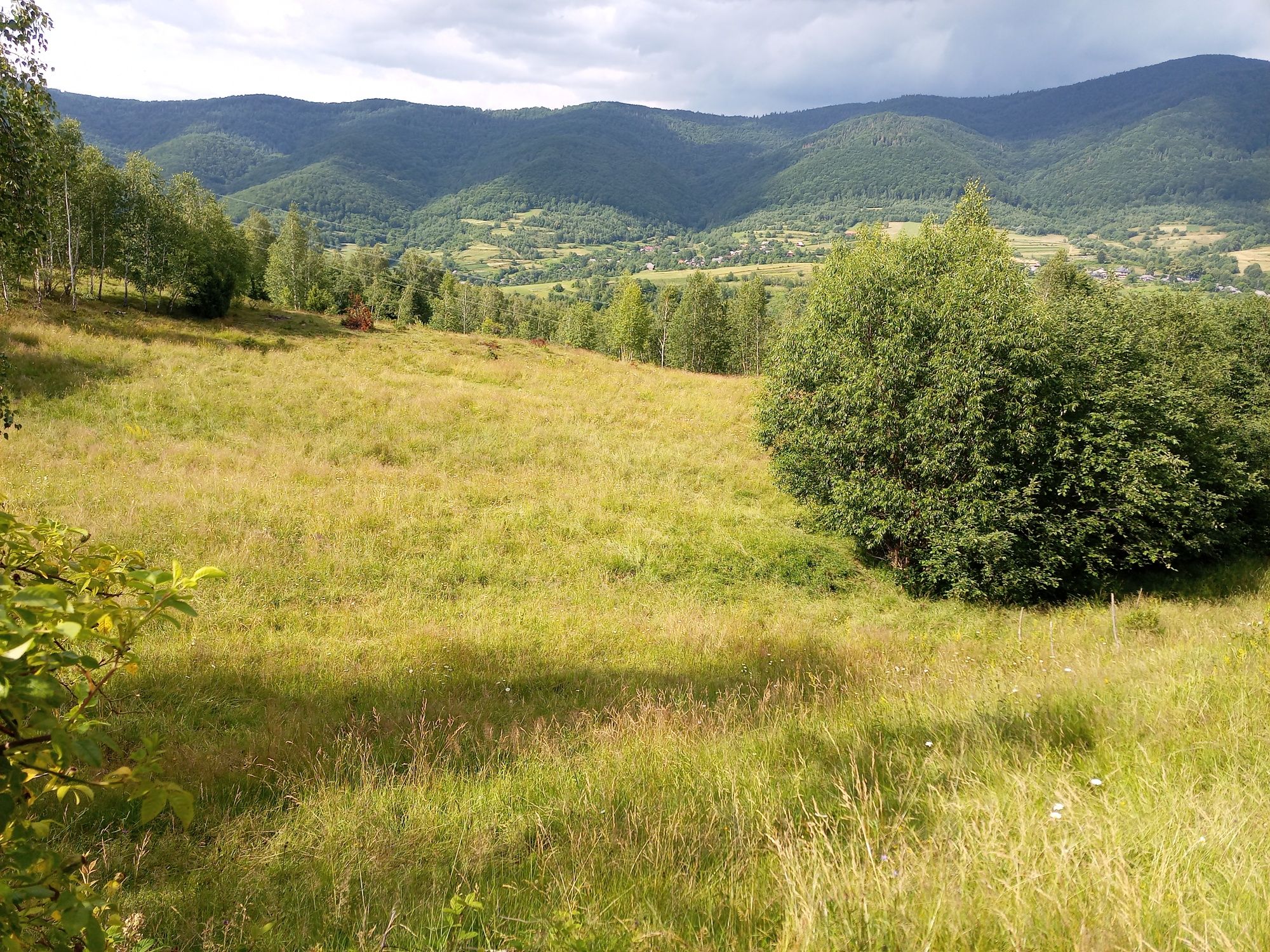 Продаж земельної ділянки село Вишка гора Красія