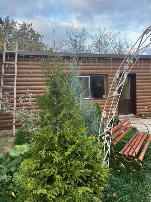 Продаж будинку або бізнес