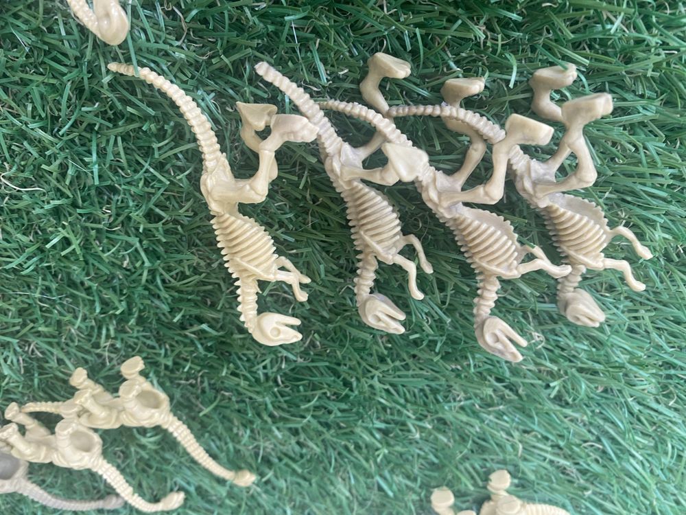 Figuras mini esqueletos dos dinossauros