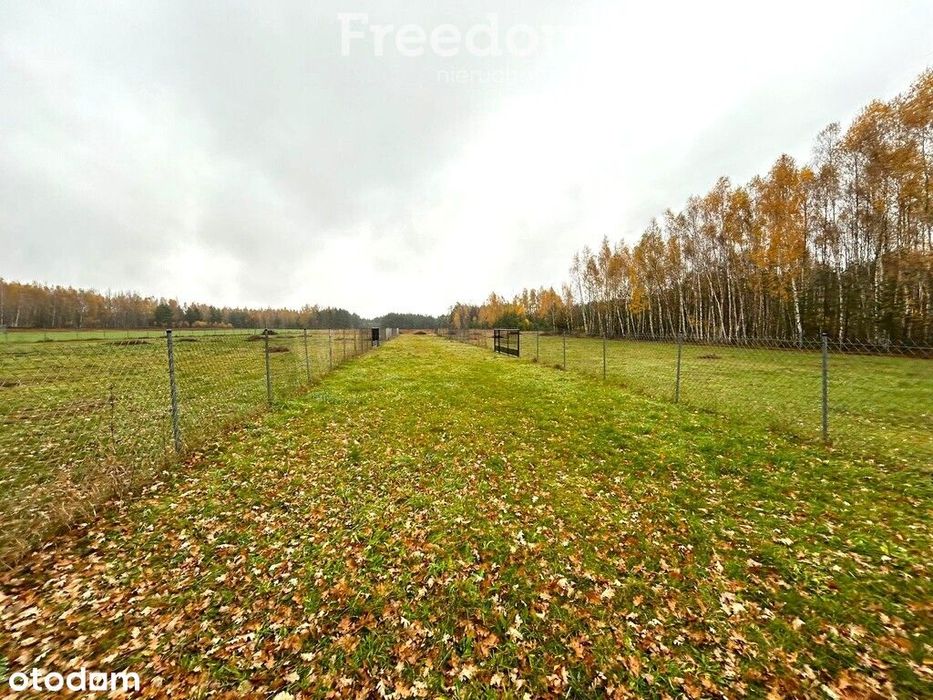 Działka budowlana Kolonie Stanisławów powiat Mińsk