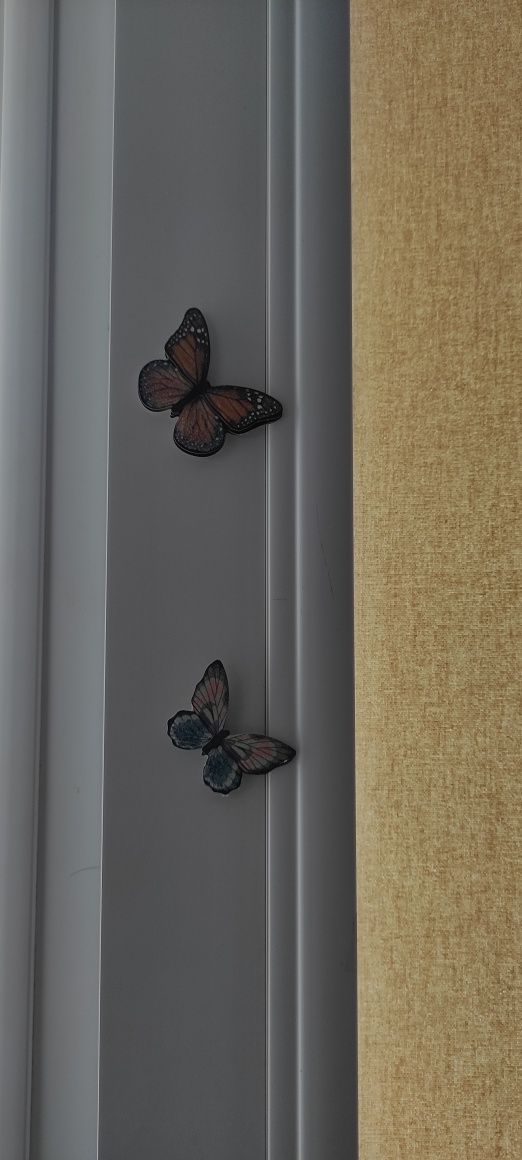 Motyle, motylki, butterfly, naklejki 3D, dekoracja