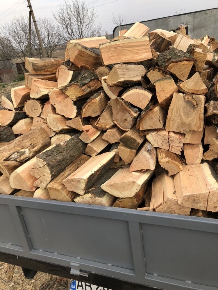 Продам колотые дрова - дуб,ясен и граб  1500- грн Гайсын