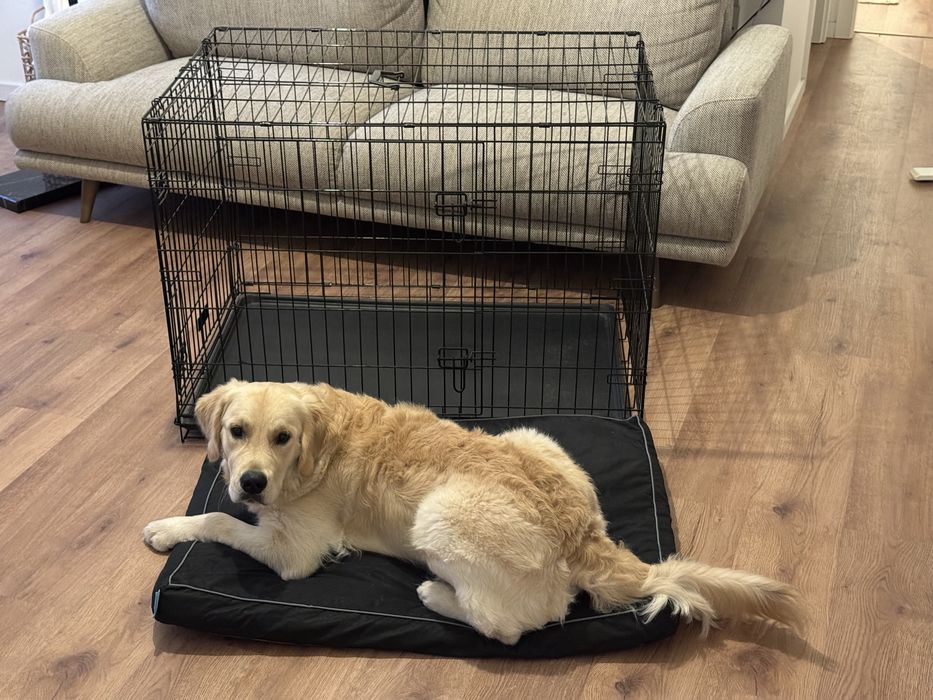 Crate com C107xL71xA77 e cama impermeável para o interior