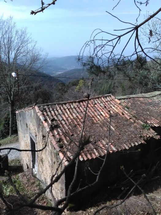 casa em pedra para recuperar -Pomar da serra-Espinhal