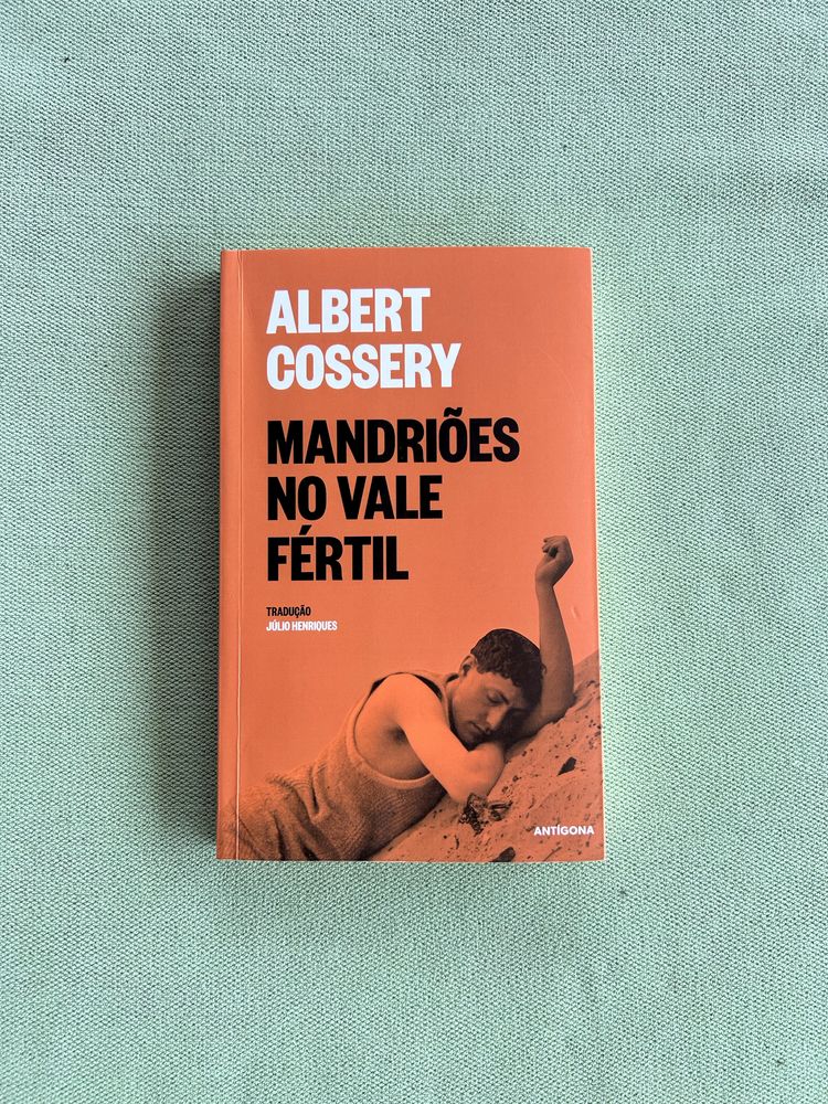 Livro NOVO Mandriões do Vale Fértil