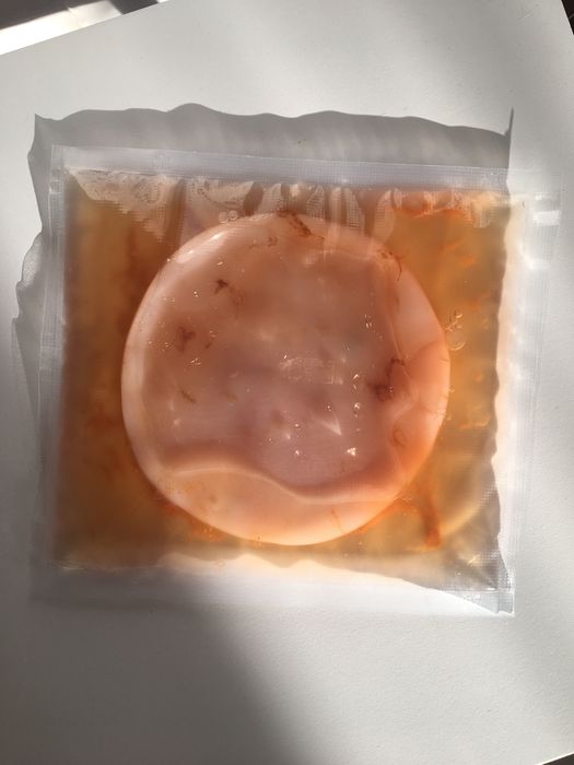 Kombucha grzyb herbaciany starter instrukcja