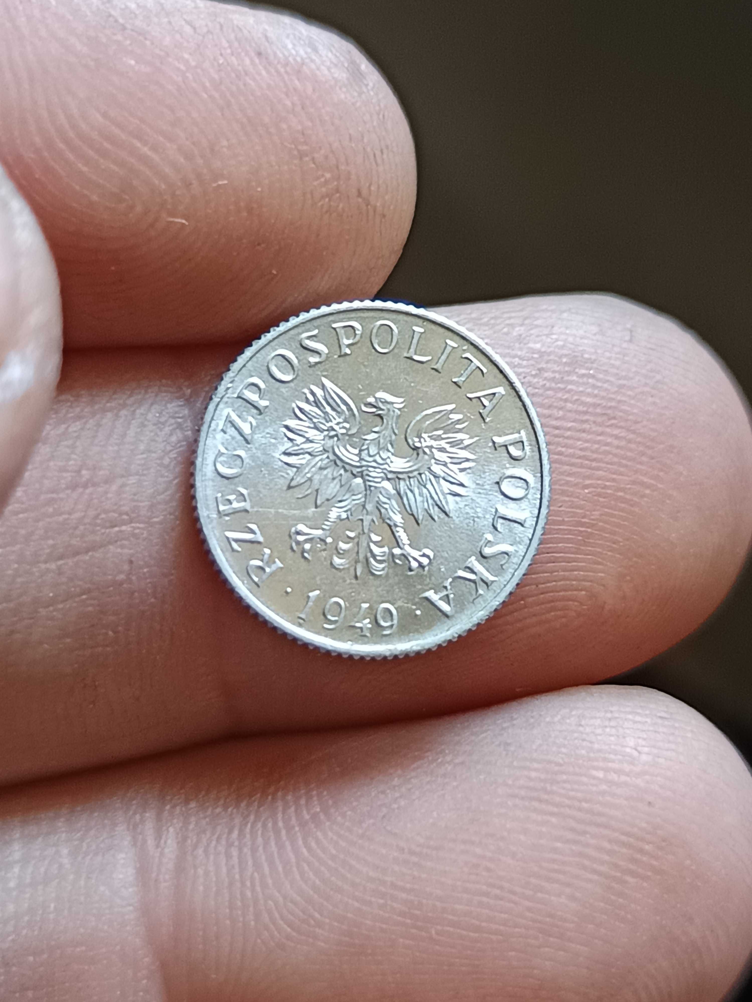 Sprzedam monetę 1 grosz 1949 rok