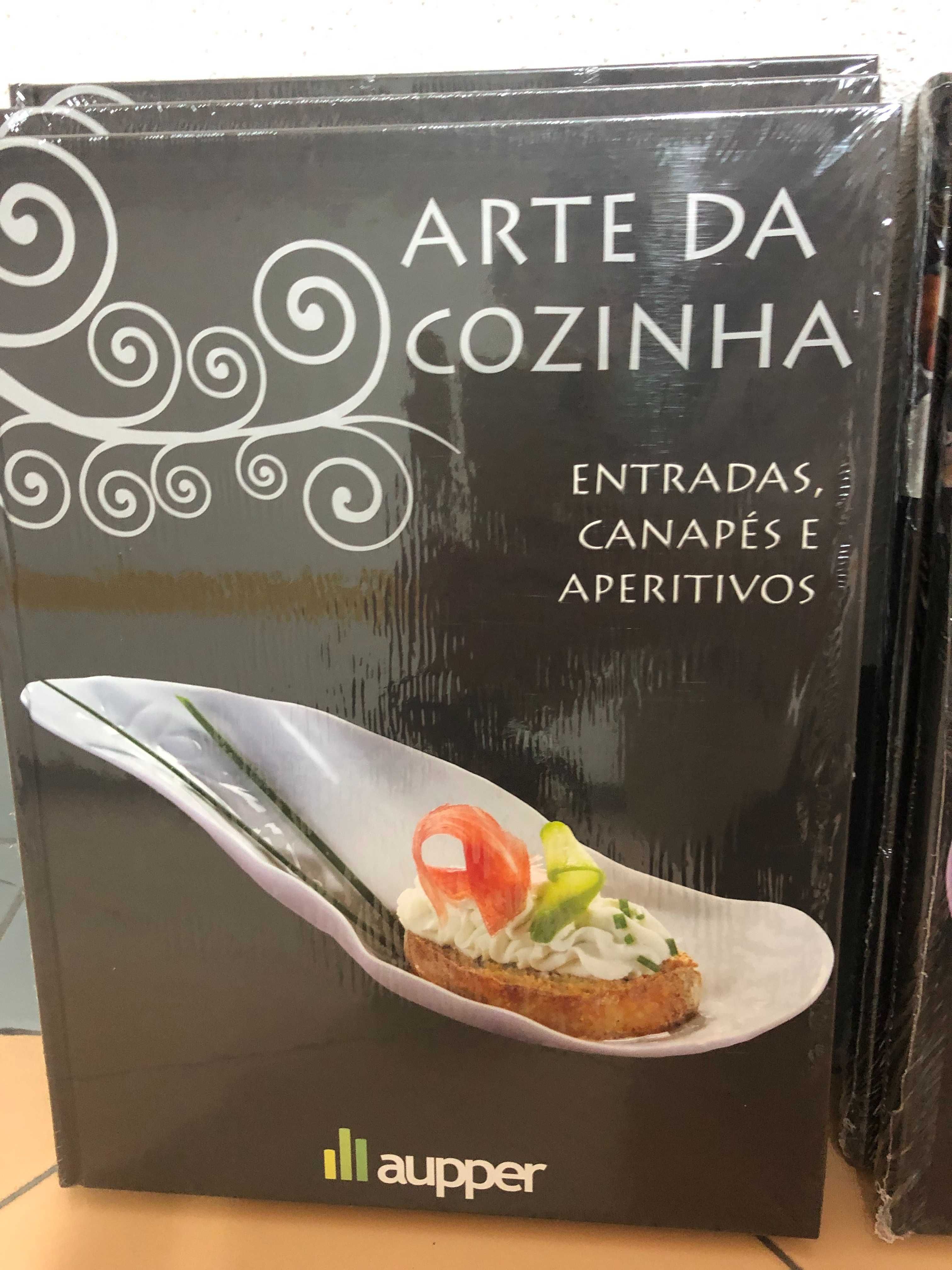 Conjunto de 9 livros de culinaria