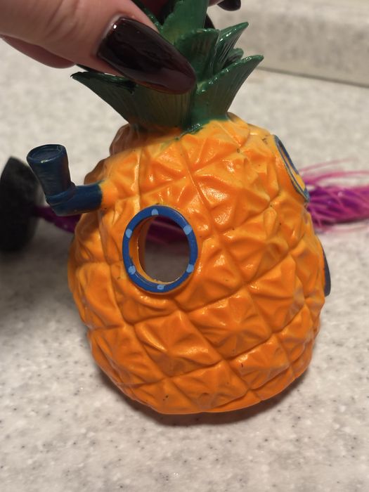 Будинок Спанч Боба, Губка Боб