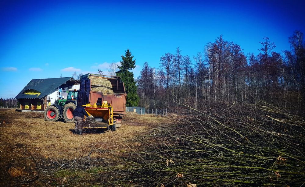 wycinka drzew,lasów/rekultywacja/głęboko/rębak/frezowanie/karczowanie