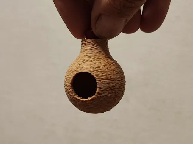 Casa para Aranha Saltadora Personalizada