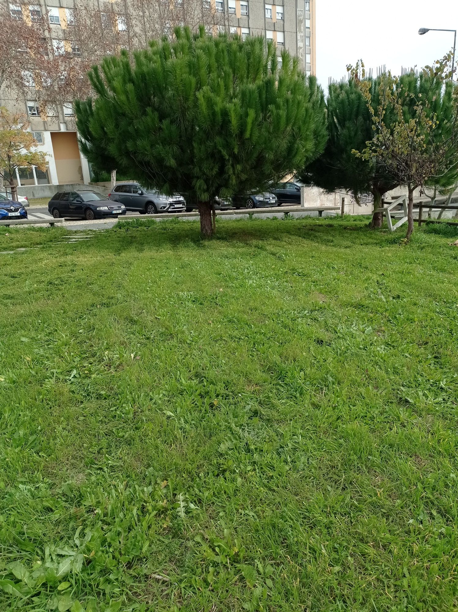 Trabalhos de jardinagem