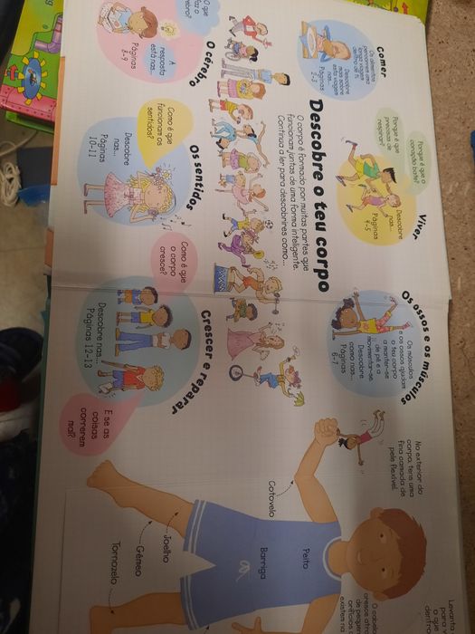 Livros infantis didaticos