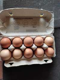 Jajka swojskie ,nadwyżki domowe ,cena za 10 szt