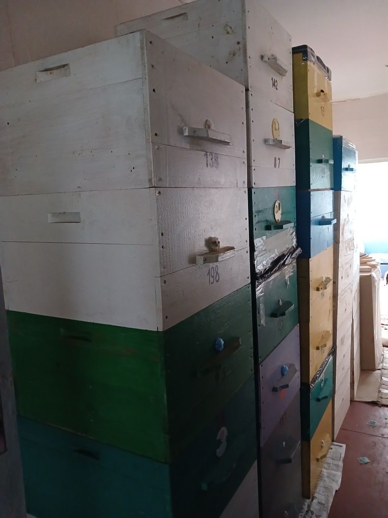 Продаётся пасека (возможна доставка в пределах области)