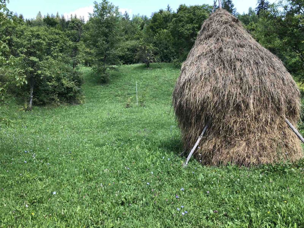 Земля. Карпати, ВЛАСНИК!