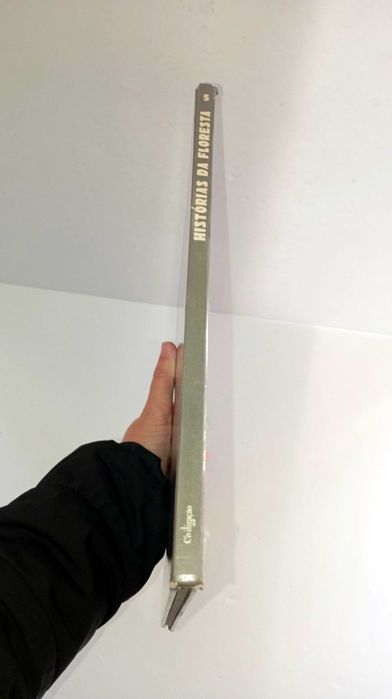 Histórias da Floresta (Volume 5) - Tony Wolf