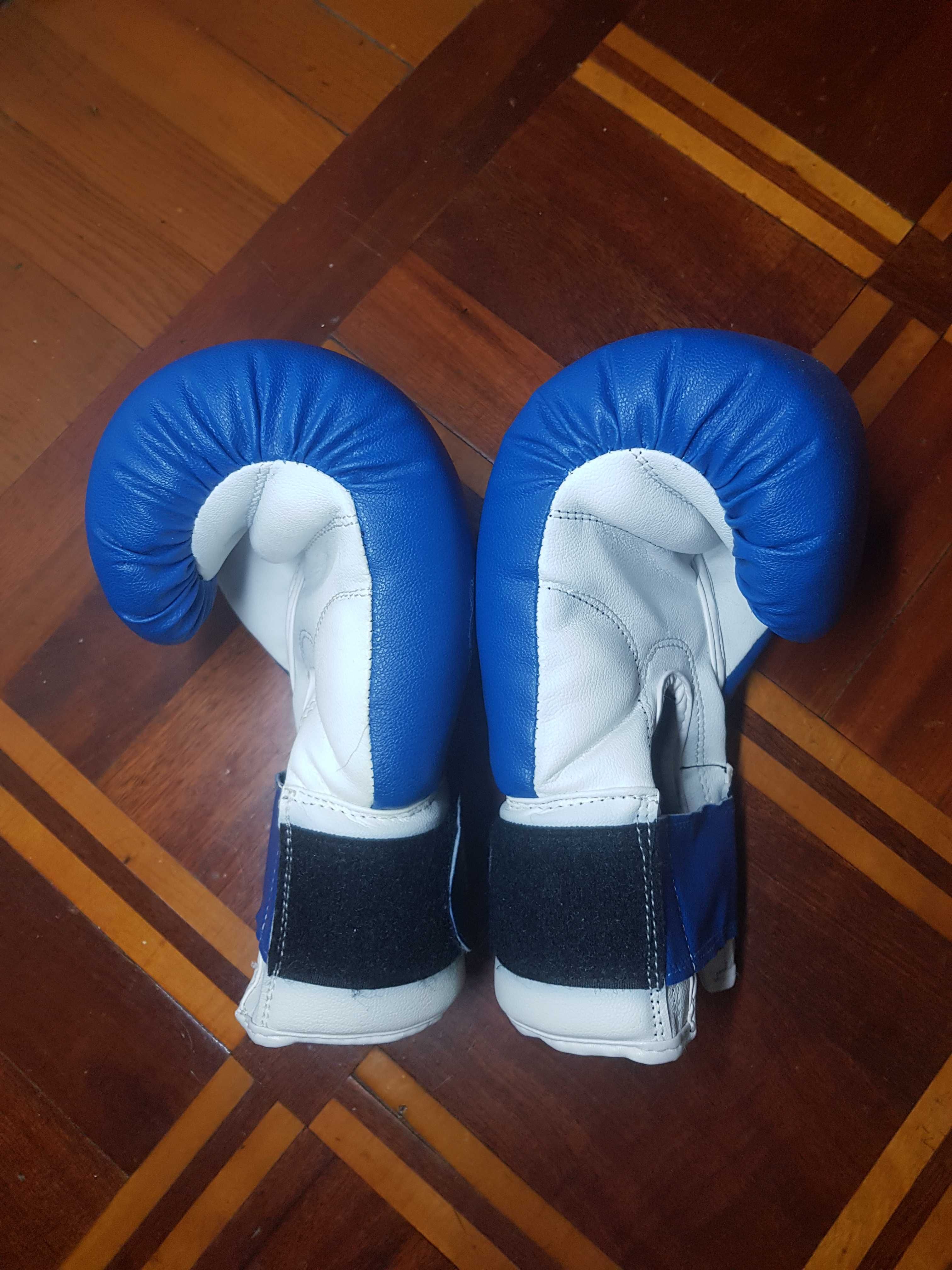 Боксерські рукавиці Lev шкірзам сині