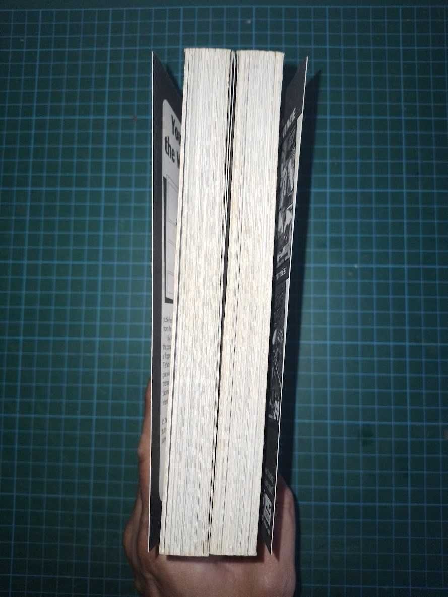 Mangá Bleach Inglês Volumes 27 e 28