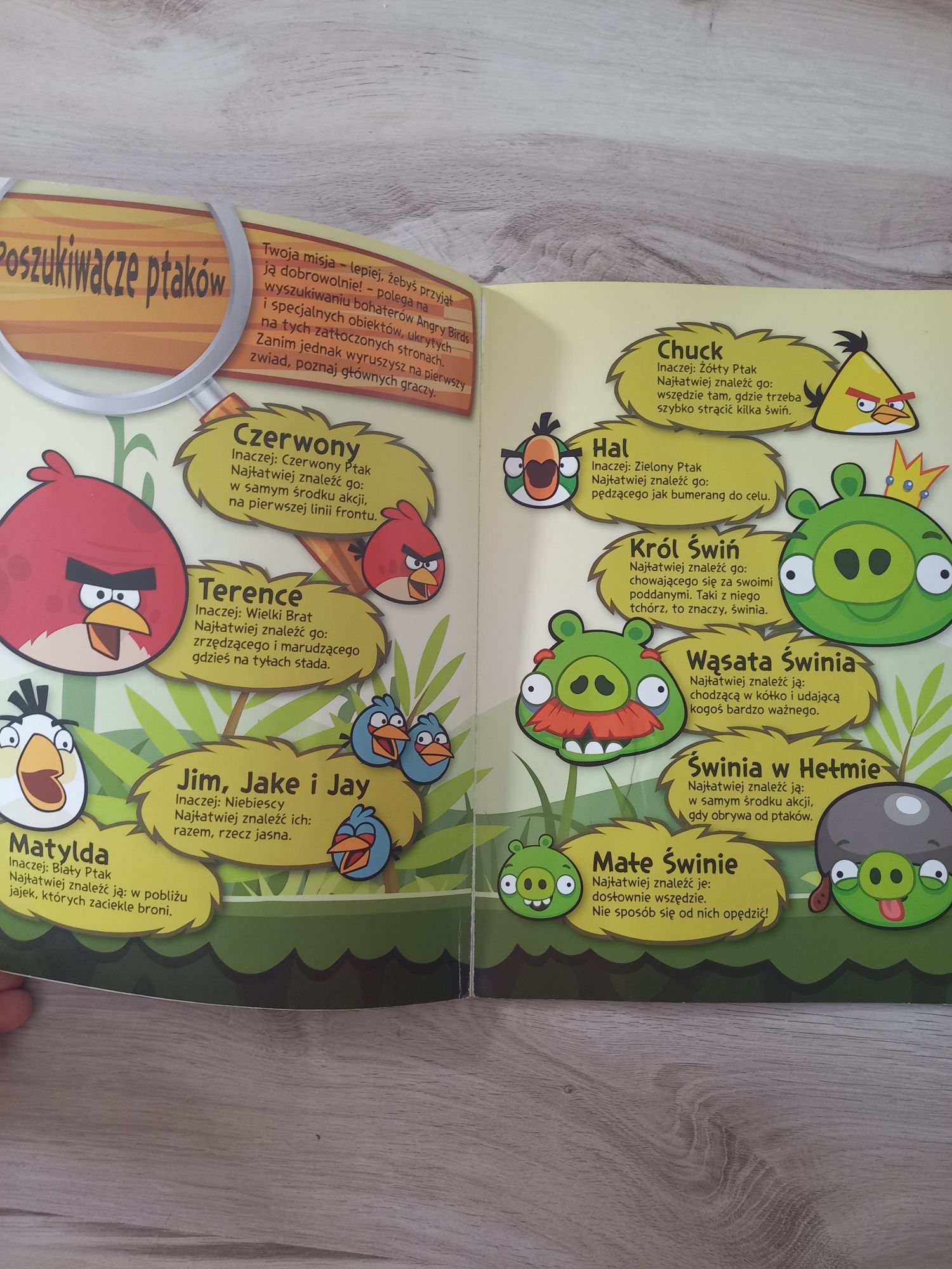 Książka Angry Birds Poszukaj Nas