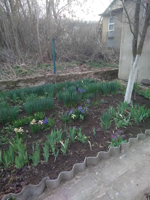 Два невеликих будинки  під дачу