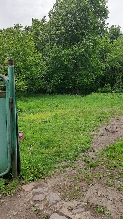 Продам будинок.  с.Чорноглазівка