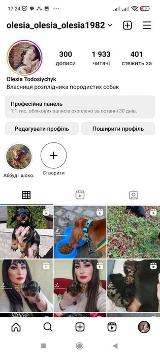 Один чорнопідпалий таксик з виводка !!! Шикарна дитинка.