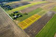 1200 m2 Działka pod budowę Borowina Sitaniecka - 6 km od Zamościa