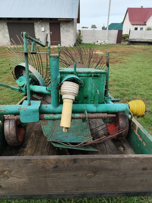 Картоплекопачка німецька