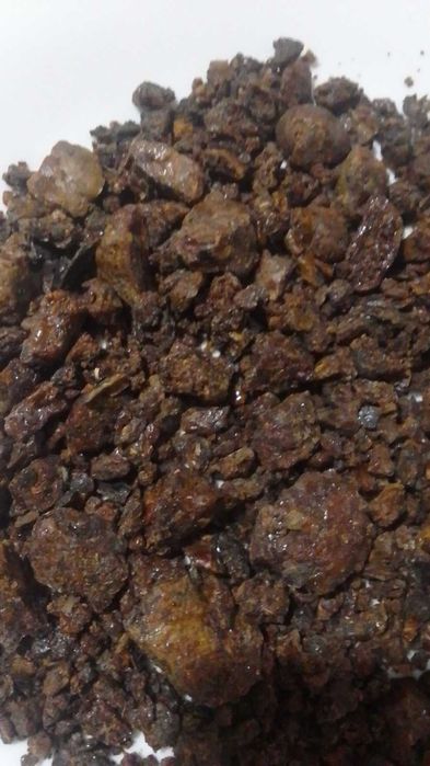 Прополіс сировина