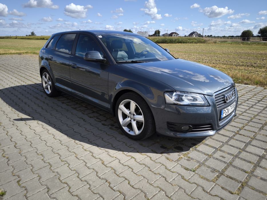 Audi A3 8PA DSG Łopatki F1