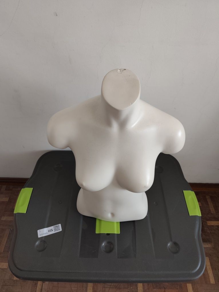 Busto de senhora em plástico