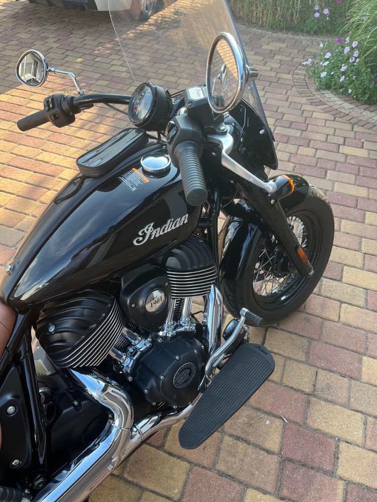 Indian chief dark horse