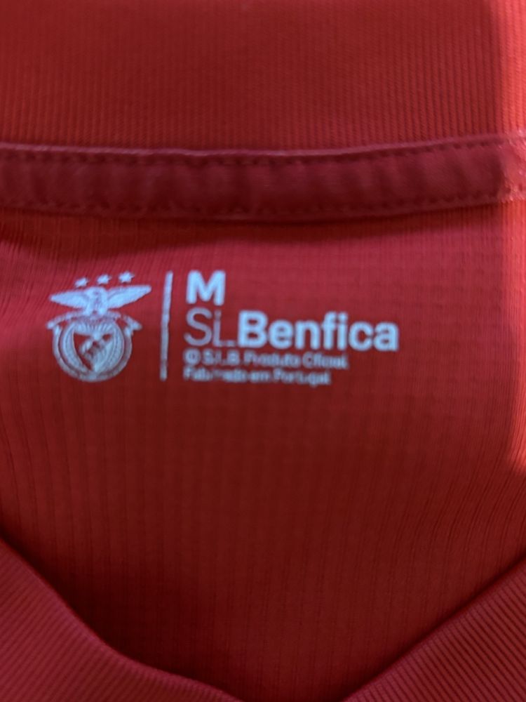 Camisola e calcoes benfica escolas M