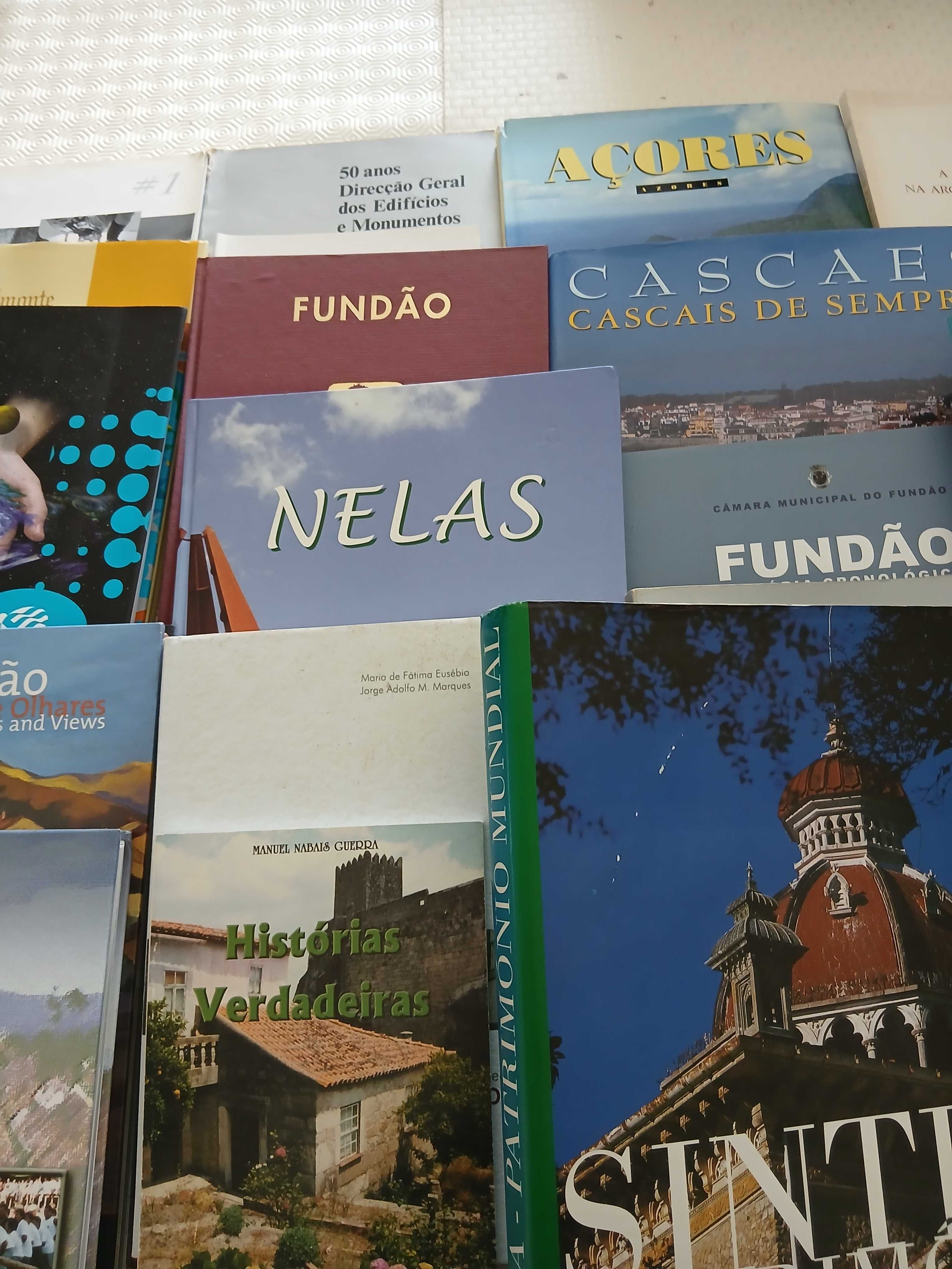 Livros ilustrados temáticos sobre localidades ou regiões de Portugal