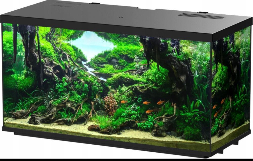 Akwarium 44l.