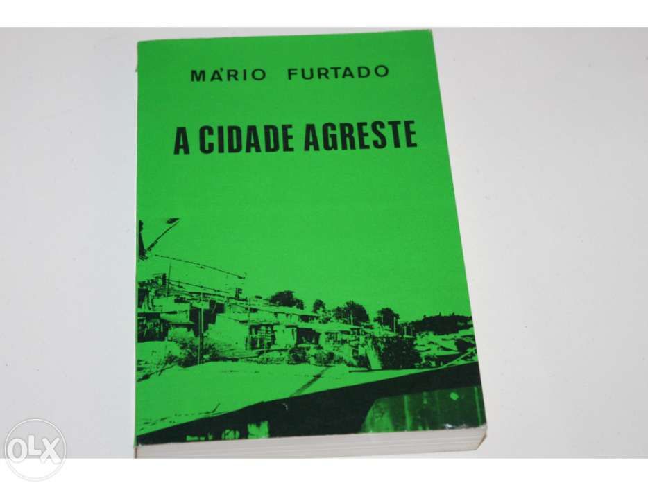 A Cidade Agreste de Mário Furtado