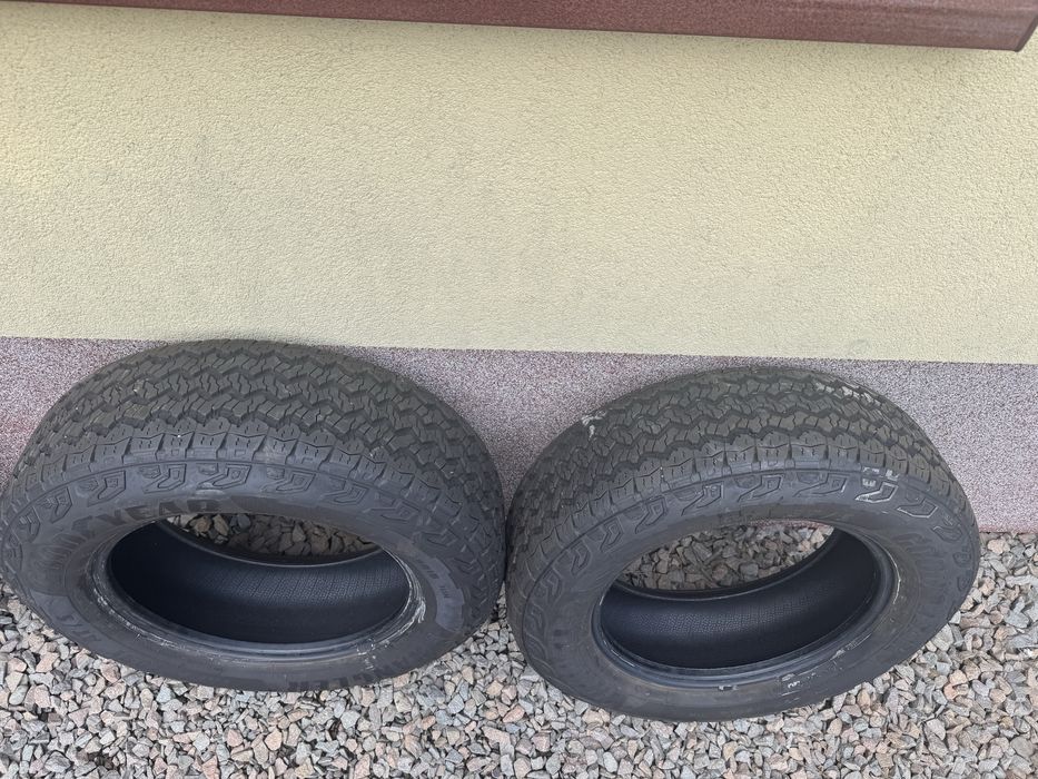 Opony Goodyear Wrangler Territory AT/S 255/65 R18