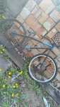 Rower NS Bikes holy 1