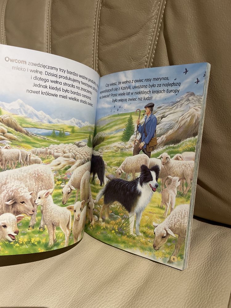 Zwierzęta świata książka dla dzieci Susaeta 184 str
