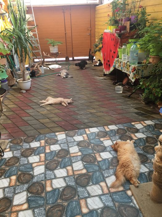 Сдам комнату в частном доме