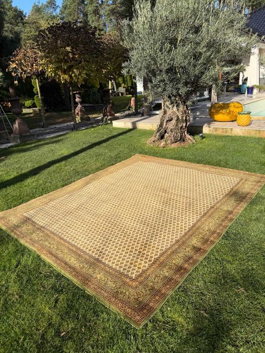 Kaszmirowy Wełniany dywan wzór perski Mir od Siras 300x250 gal. 8 tys