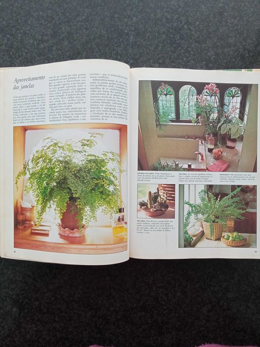 Plantas de interior de casa