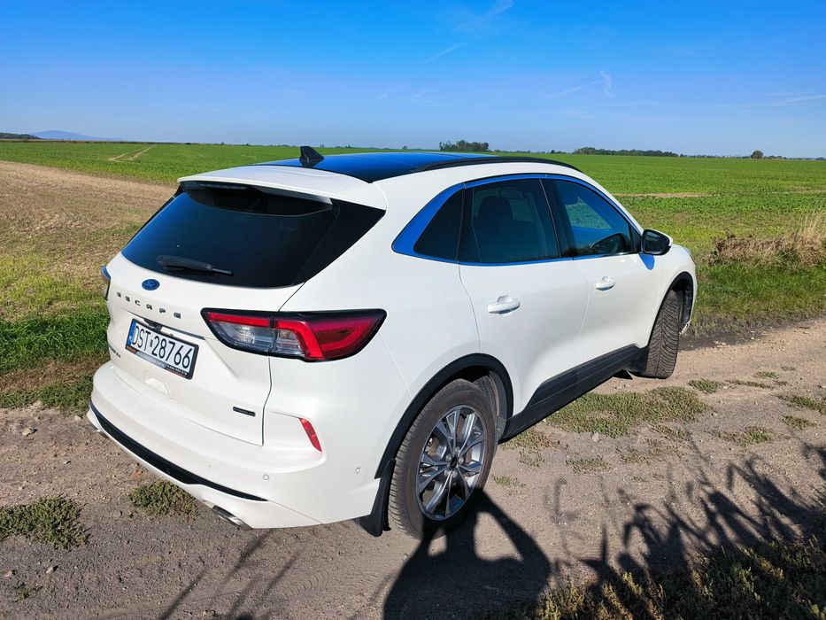 Escape/Kuga 2020r 2.5l FHEV TITANIUM ST-line, panorama, 12PDC, 2kamery