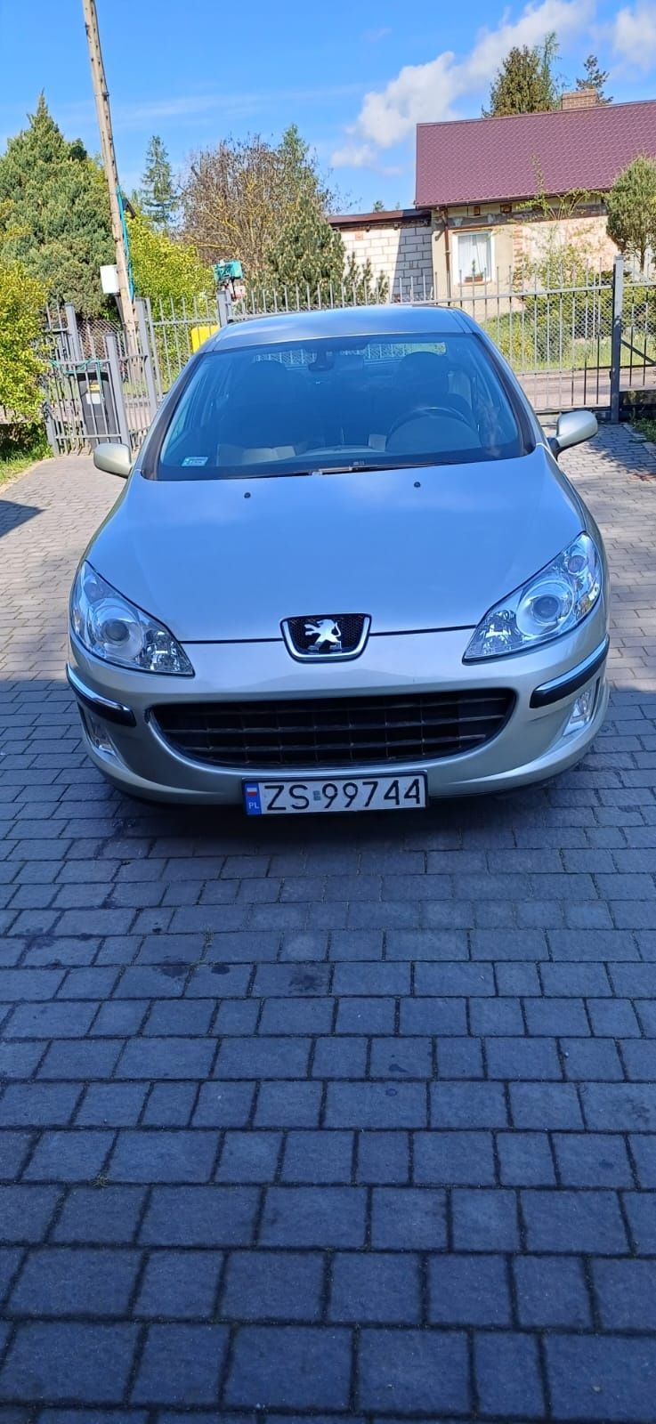 Peugeot 407, benzyna