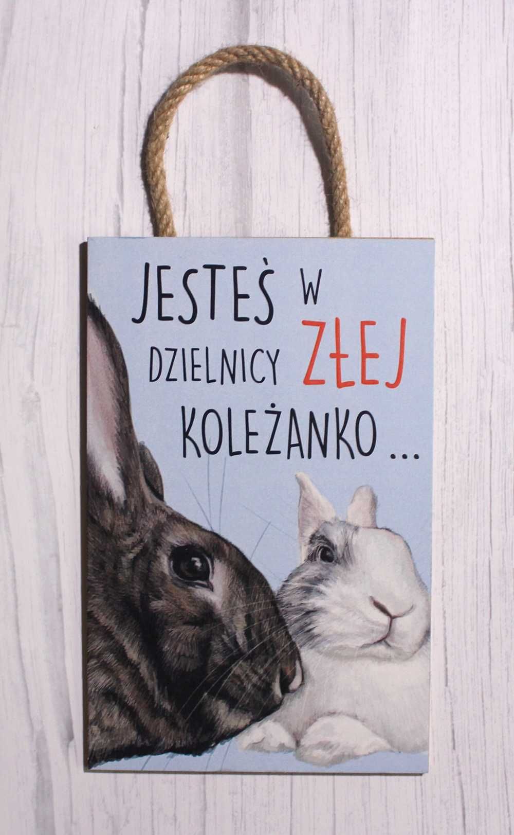 Śmieszna tabliczka 18x27 królik króliki
