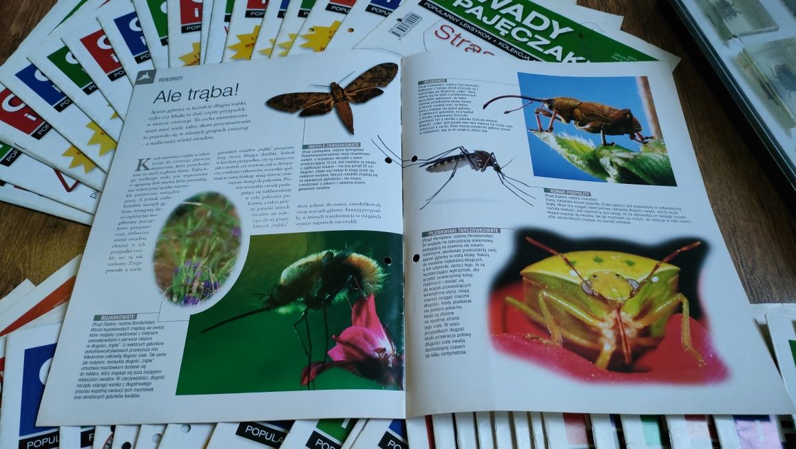 Owady i pajęczaki czasopisma nr 1-54