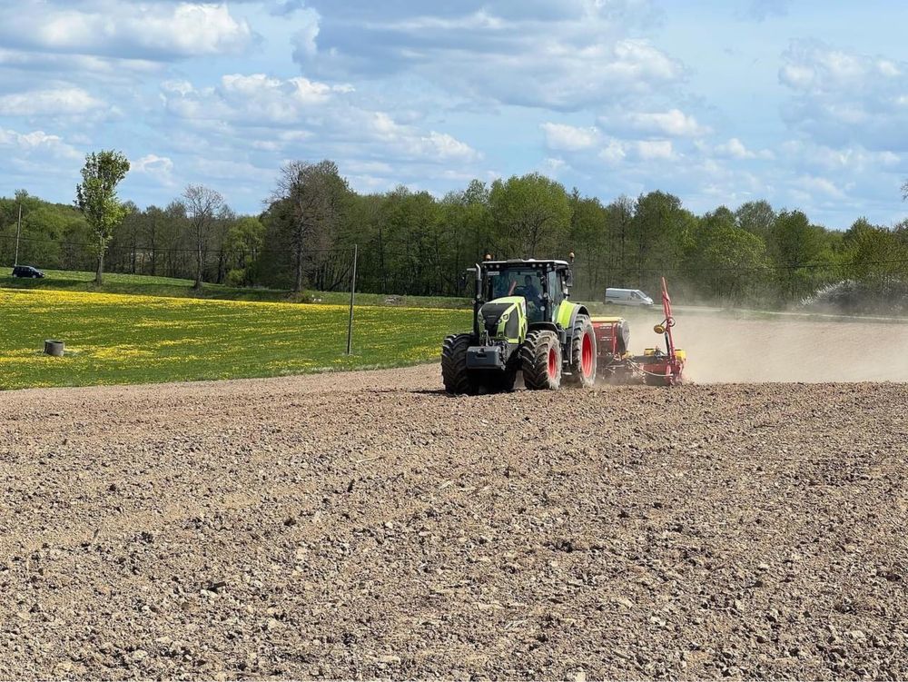 Siew Buraka, Slonecznika, kukurydzy GPS RTK. Vaderstad tempo t6 i f8.