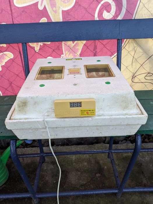 Інкубатор Квочка МІ-30-1